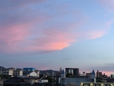 IMG_0595.jpg