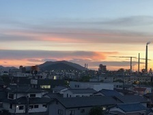 IMG_0596.jpg