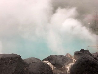 IMG_4372.jpg