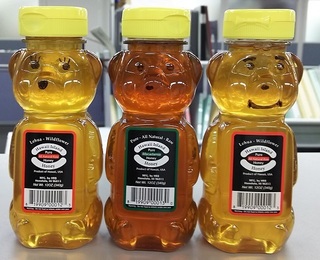 kuma.jpg