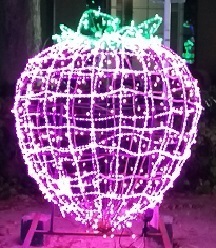 201122-5.jpg