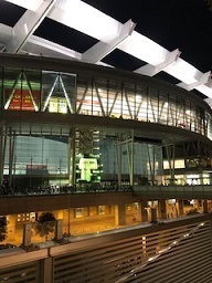 IMG1470.jpg