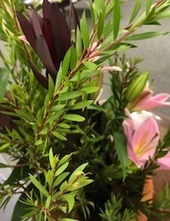 IMG_0637.jpg
