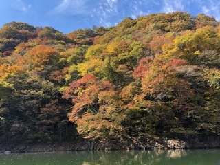 IMG_1601.jpg