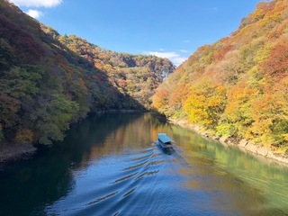 IMG_1637.jpg