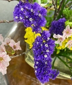 IMG_1678.jpg